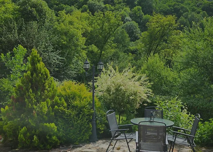 Eco Дом отдыха