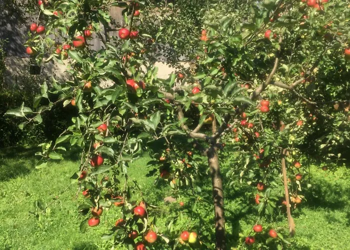 Eco Дом отдыха *